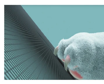 Screen Mesh As A Safe Barrier For Pet Balconies And High-Rise Living